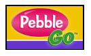 Pebble Go 