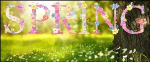 Spring Image