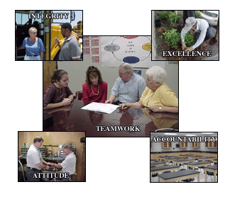 various pictures of employees reviewing materials