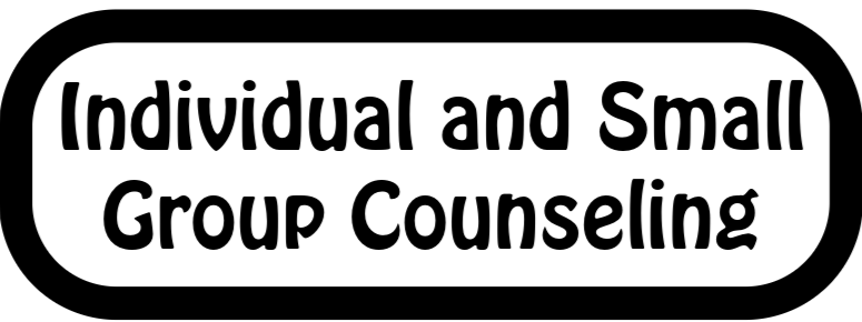Individual and Small Group Counseling