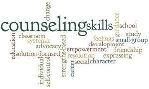 counseling skills 