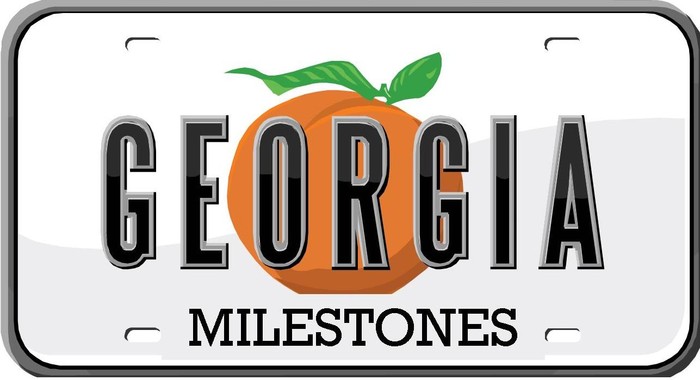 Image Georgia Milestones License Plate