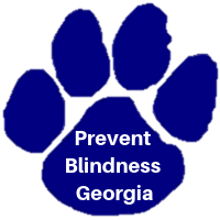 Prevent Blindness GA 