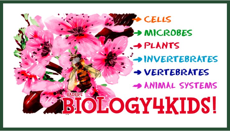 Biology 4 Kids