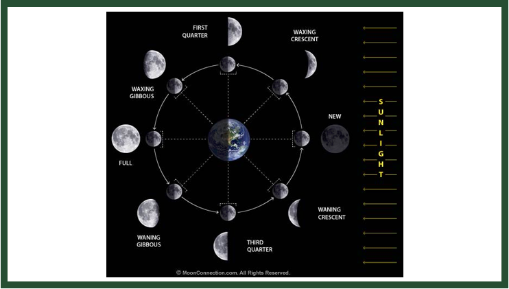 Moon Phases